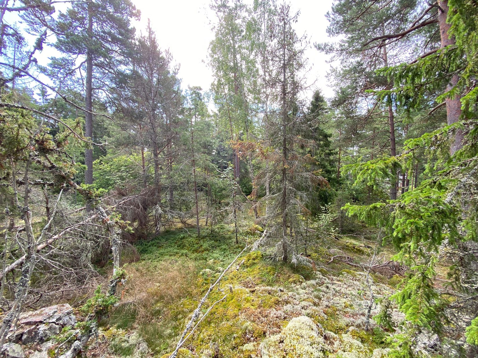 Tomt, Artursviken 14A, Singö Norrvreta, Norrtälje