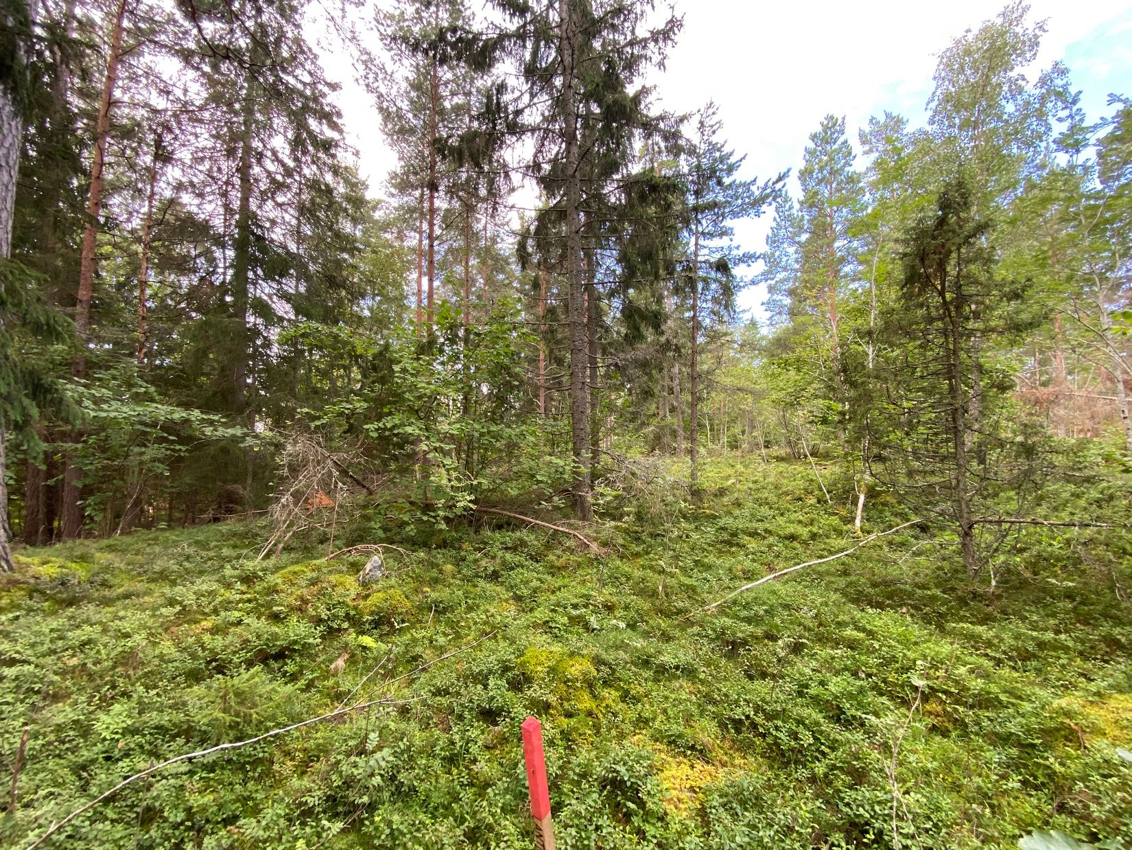 Tomt, Artursviken 14A, Singö Norrvreta, Norrtälje