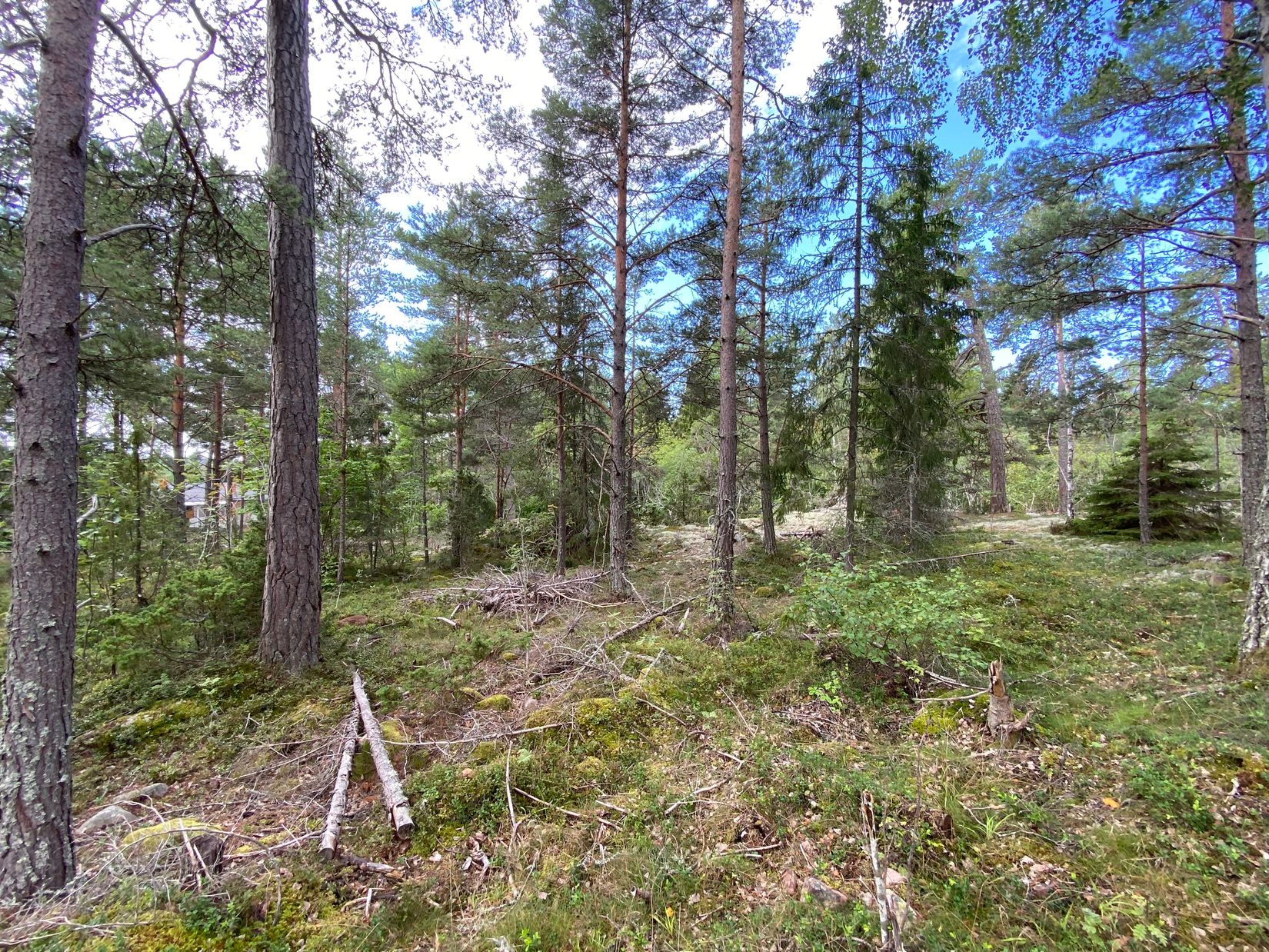 Tomt, Artursviken 14A, Singö Norrvreta, Norrtälje