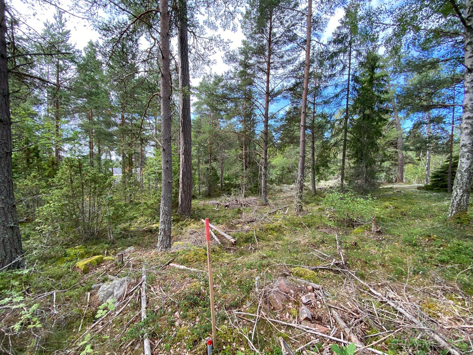 Tomt, Artursviken 14A, Singö Norrvreta, Norrtälje