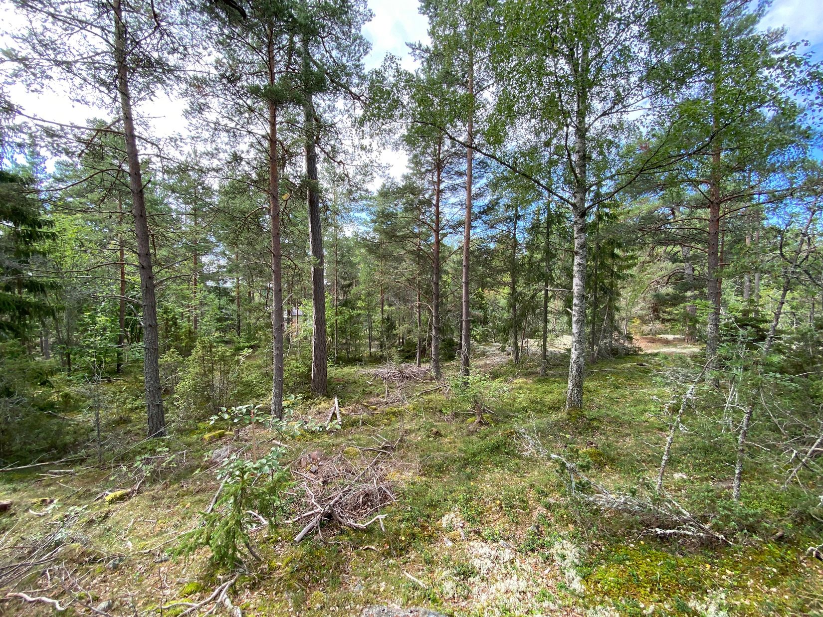 Tomt, Artursviken 14A, Singö Norrvreta, Norrtälje