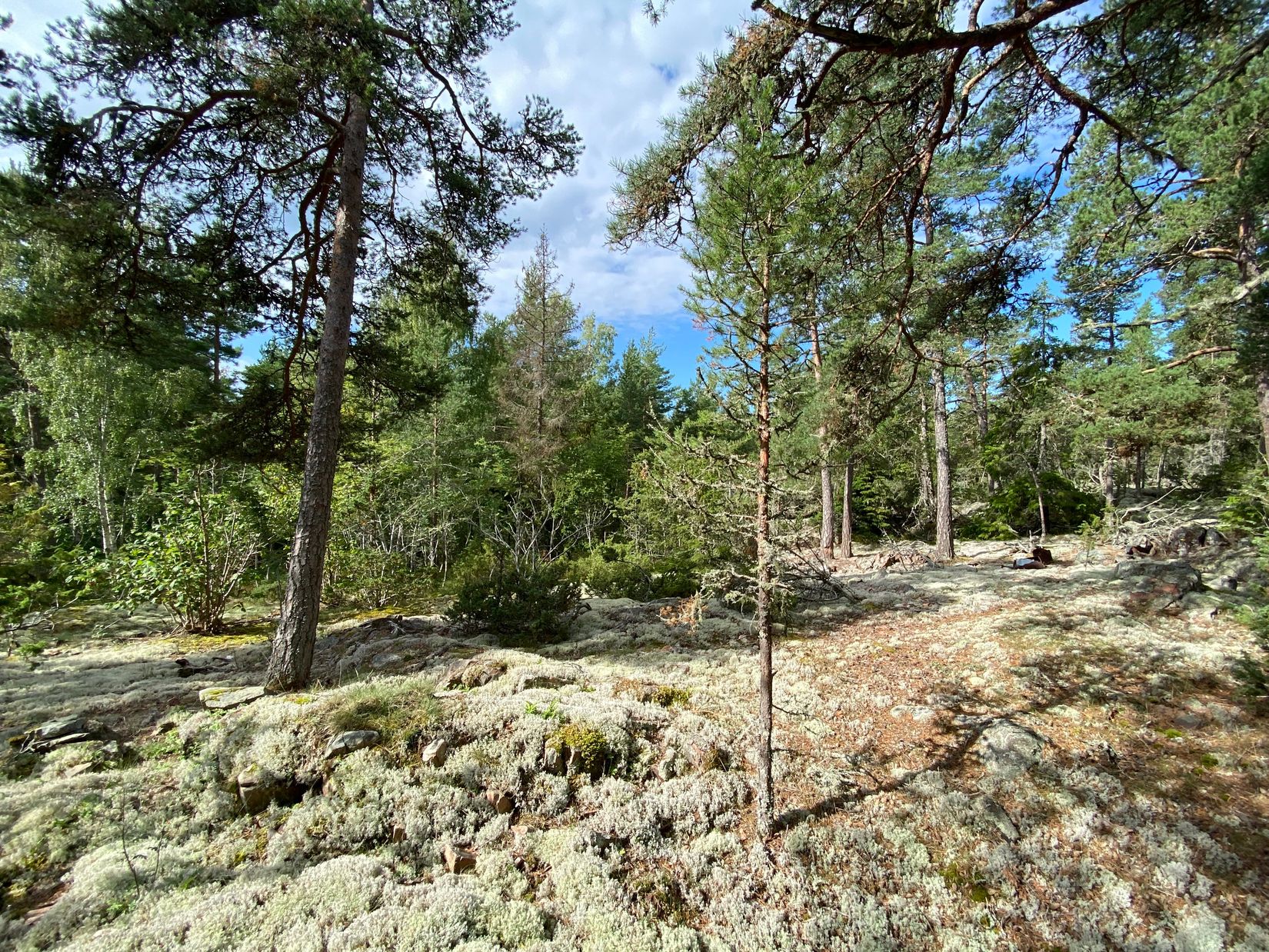 Tomt, Artursviken 14A, Singö Norrvreta, Norrtälje