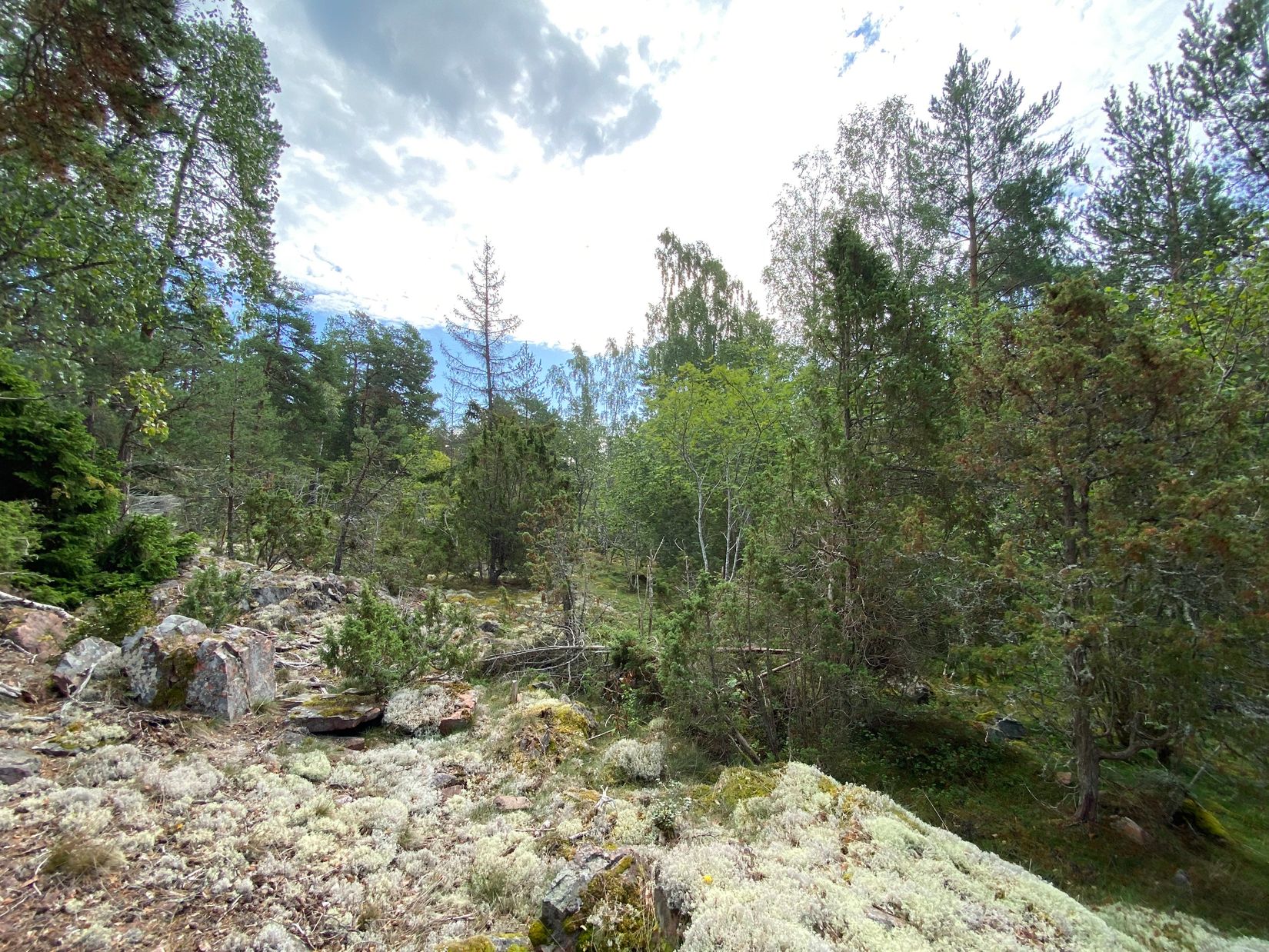 Tomt, Artursviken 14A, Singö Norrvreta, Norrtälje