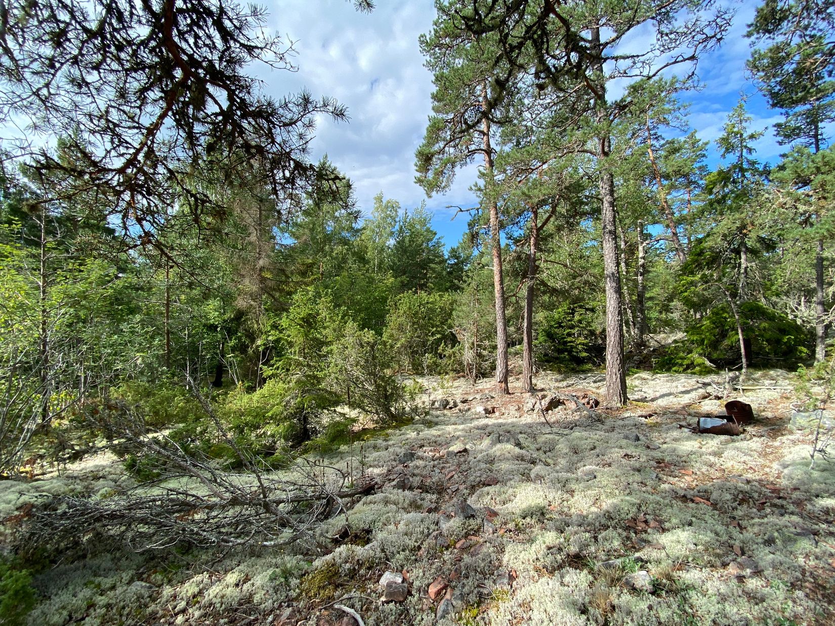 Tomt, Artursviken 14A, Singö Norrvreta, Norrtälje