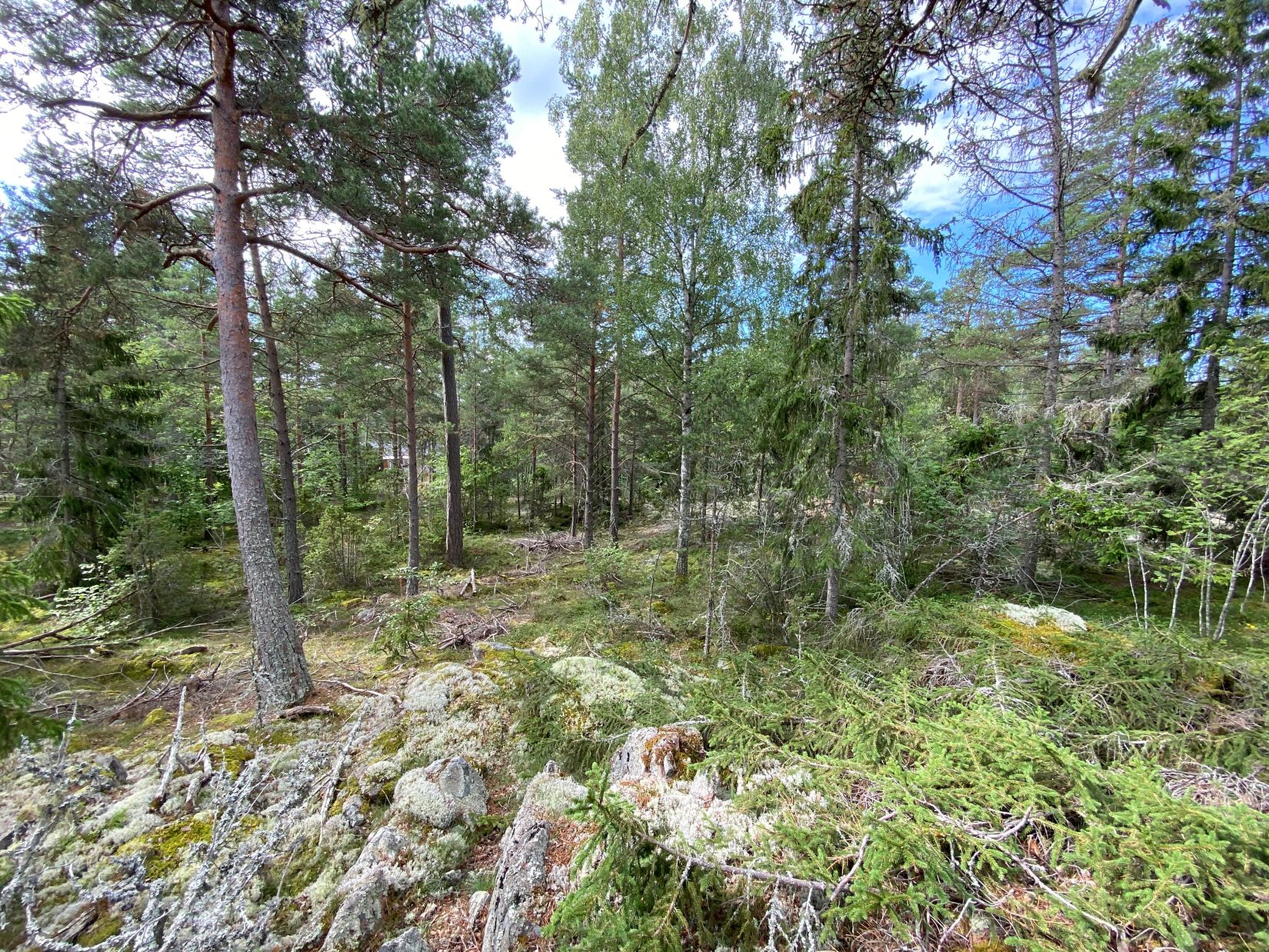 Tomt, Artursviken 14A, Singö Norrvreta, Norrtälje