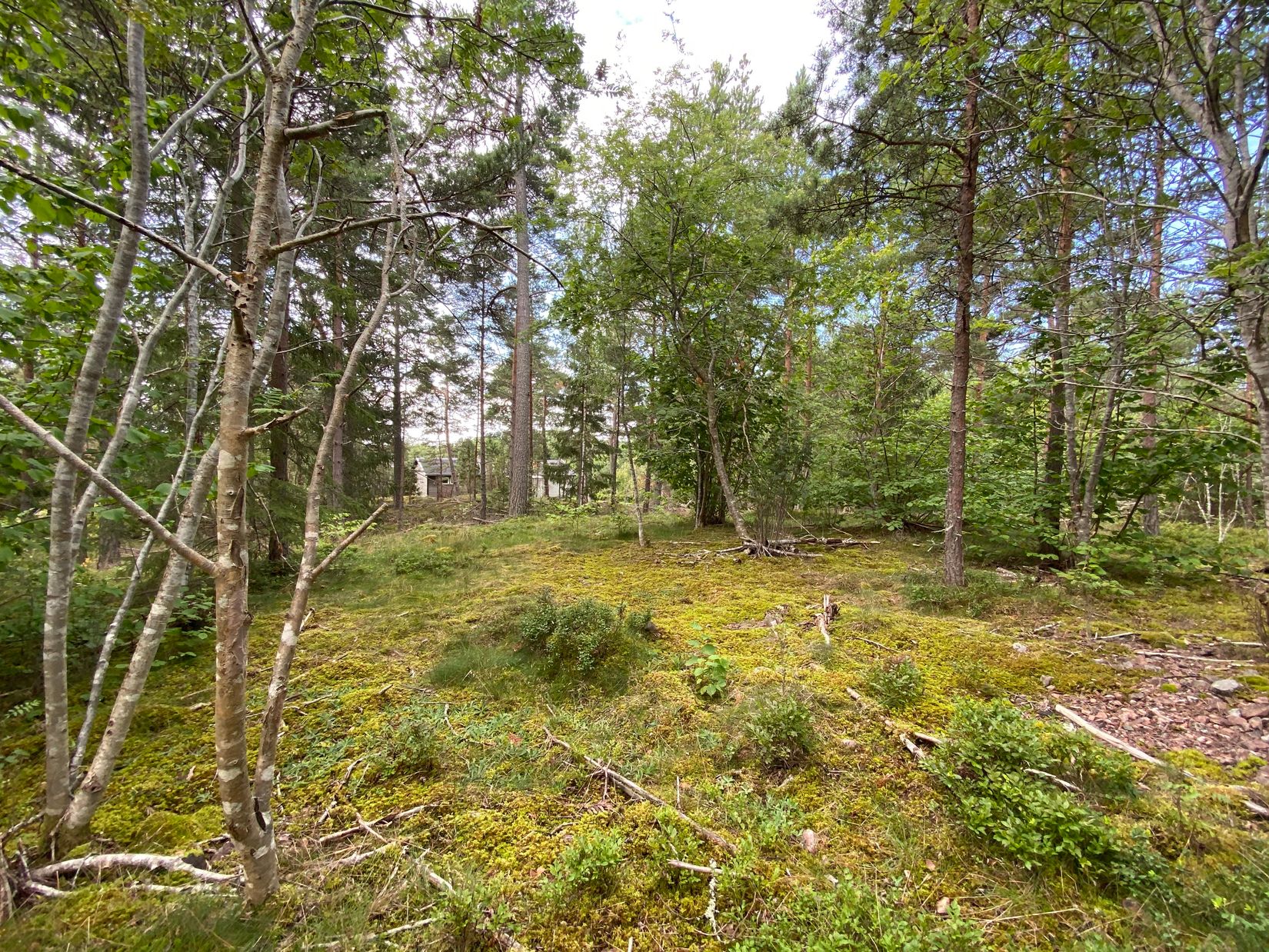 Tomt, Artursviken 14A, Singö Norrvreta, Norrtälje