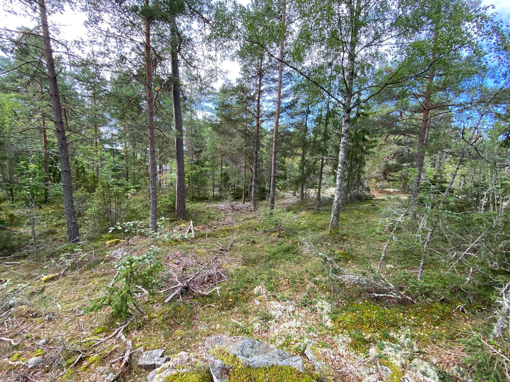 Tomt, Artursviken 14A, Singö Norrvreta, Norrtälje