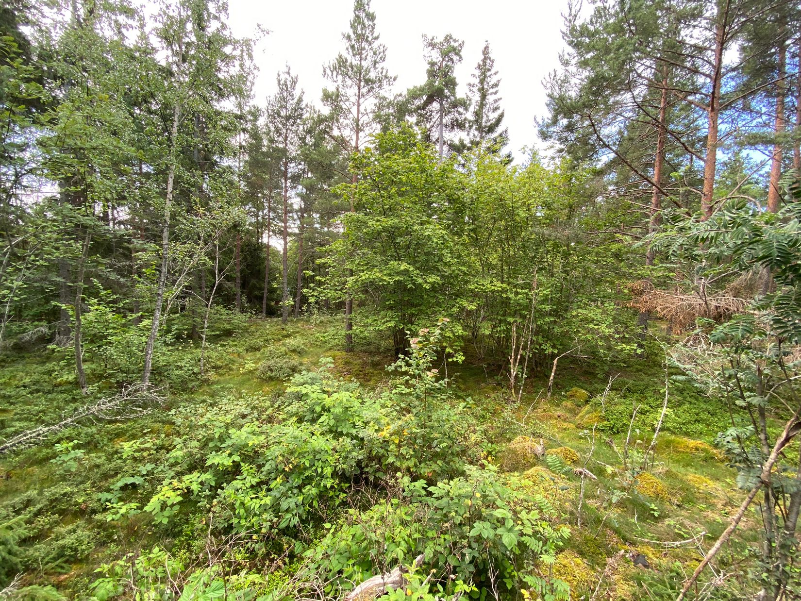 Tomt, Artursviken 14A, Singö Norrvreta, Norrtälje