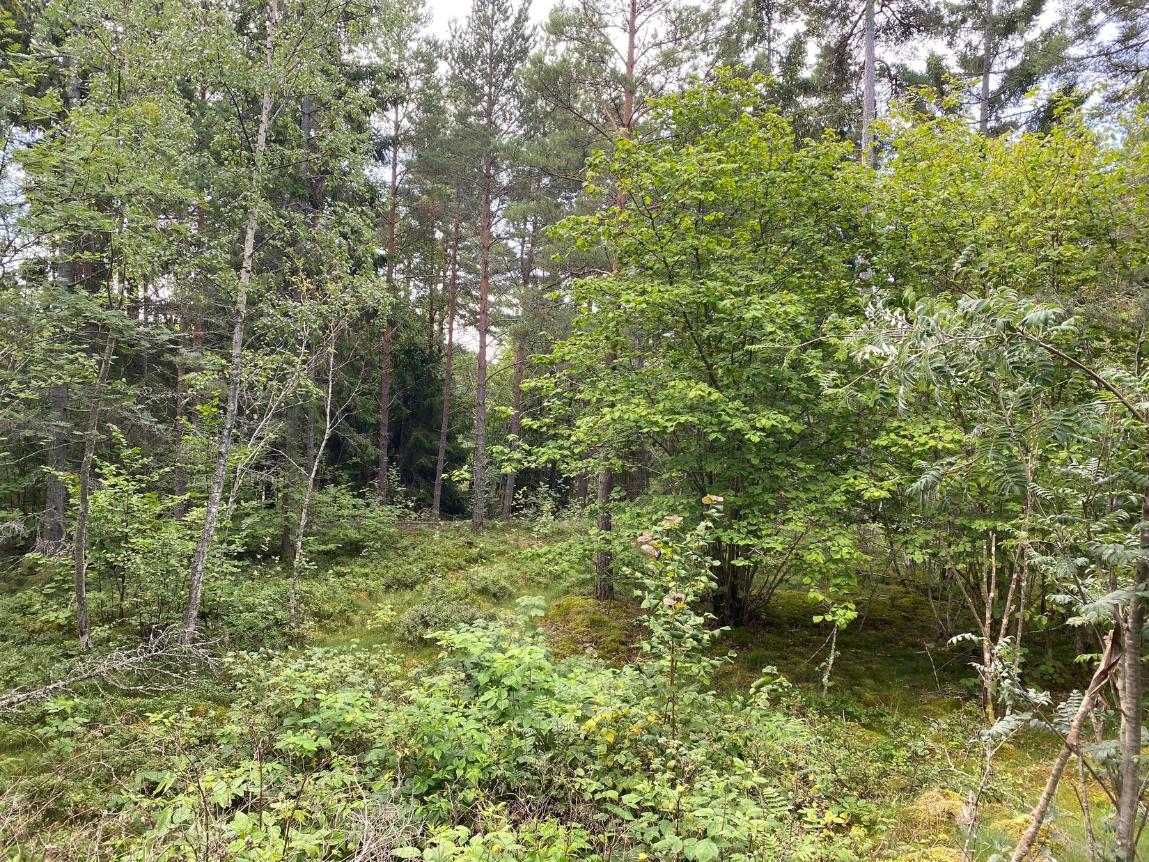 Tomt, Artursviken 14A, Singö Norrvreta, Norrtälje