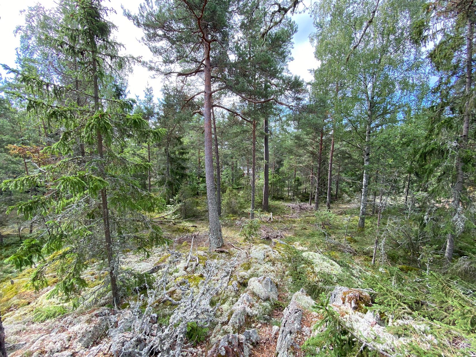 Tomt, Artursviken 14A, Singö Norrvreta, Norrtälje