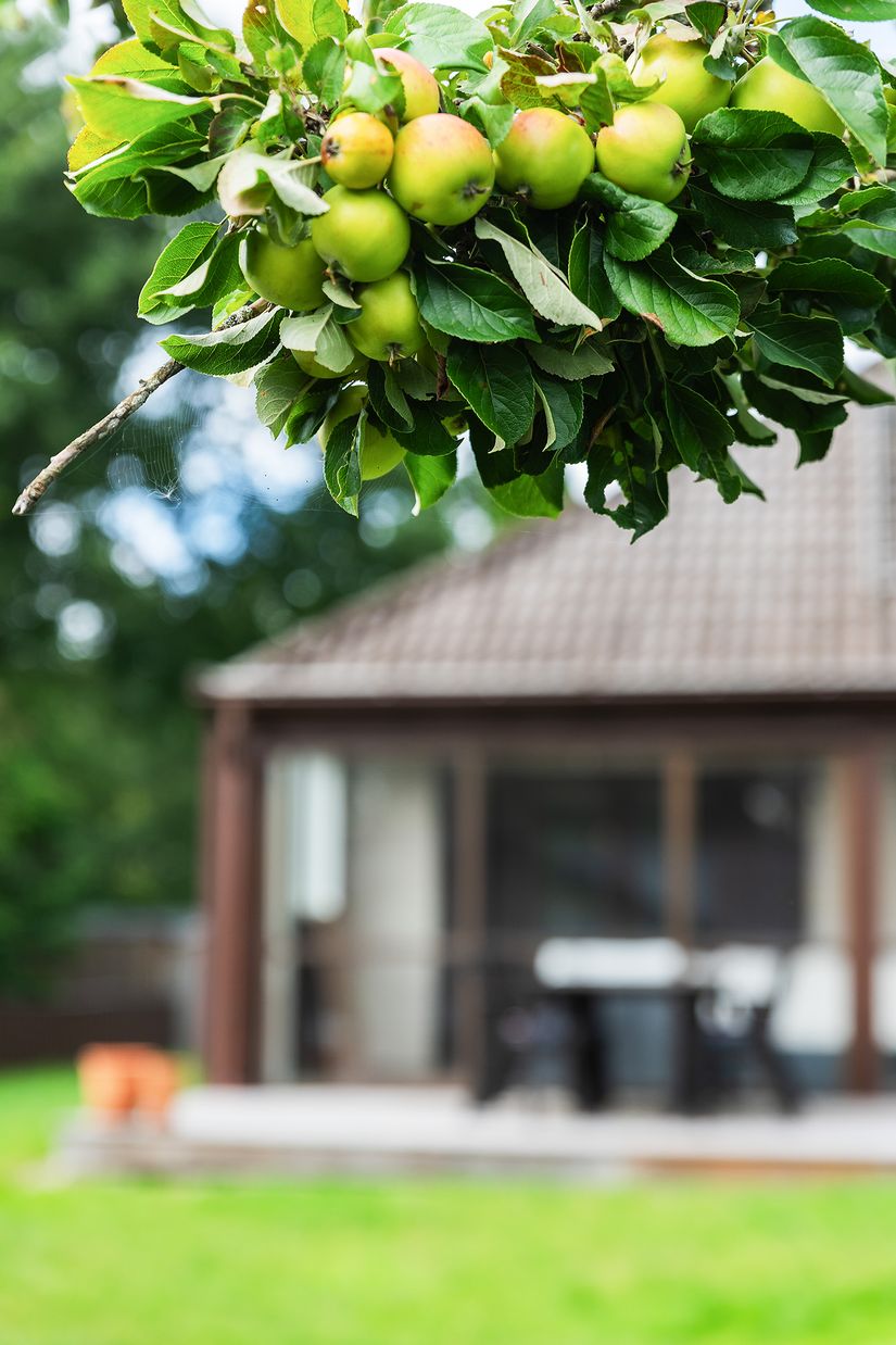 Villa, Sörbackavägen 5, Tröingeberg, Falkenberg