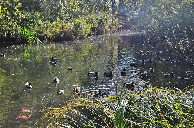 Villa, Vallavägen 380, Handen, Haninge