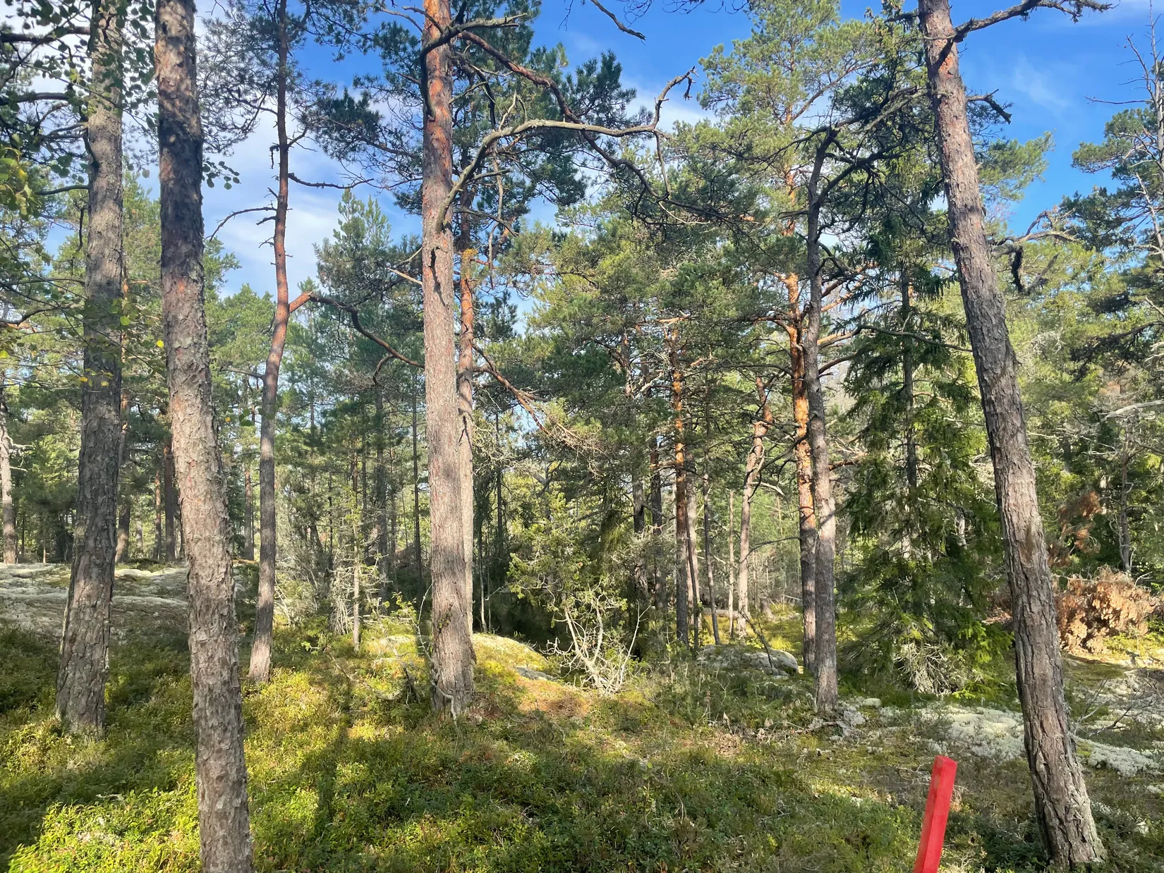 Villa, Yxlö bryggväg 71, Yxlan, Norrtälje