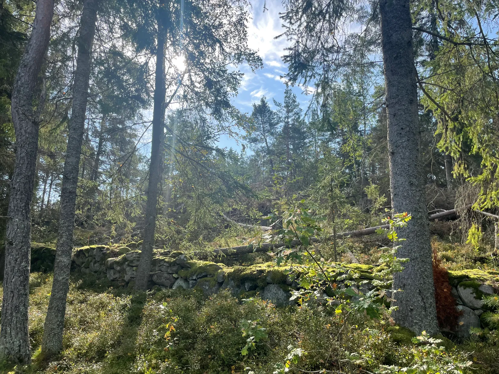 Villa, Yxlö bryggväg 71, Yxlan, Norrtälje