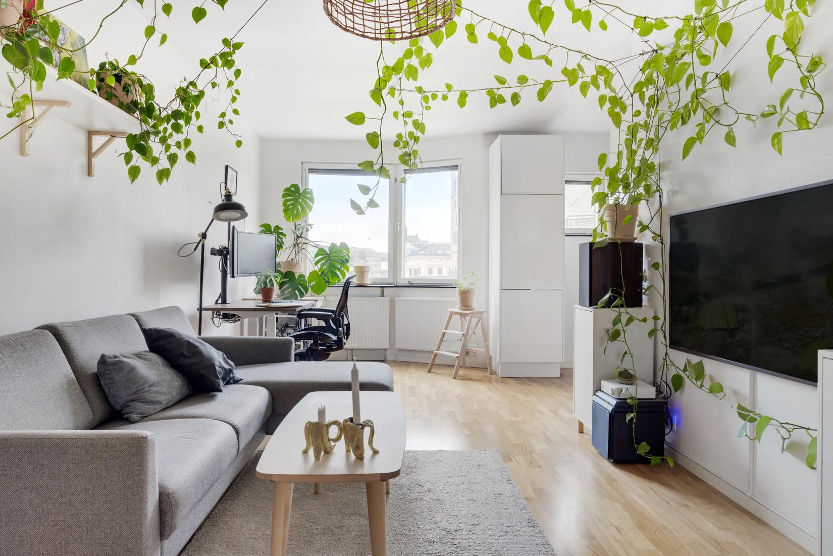 Bostadsrätt, Mäster Nilsgatan 24, City, Malmö