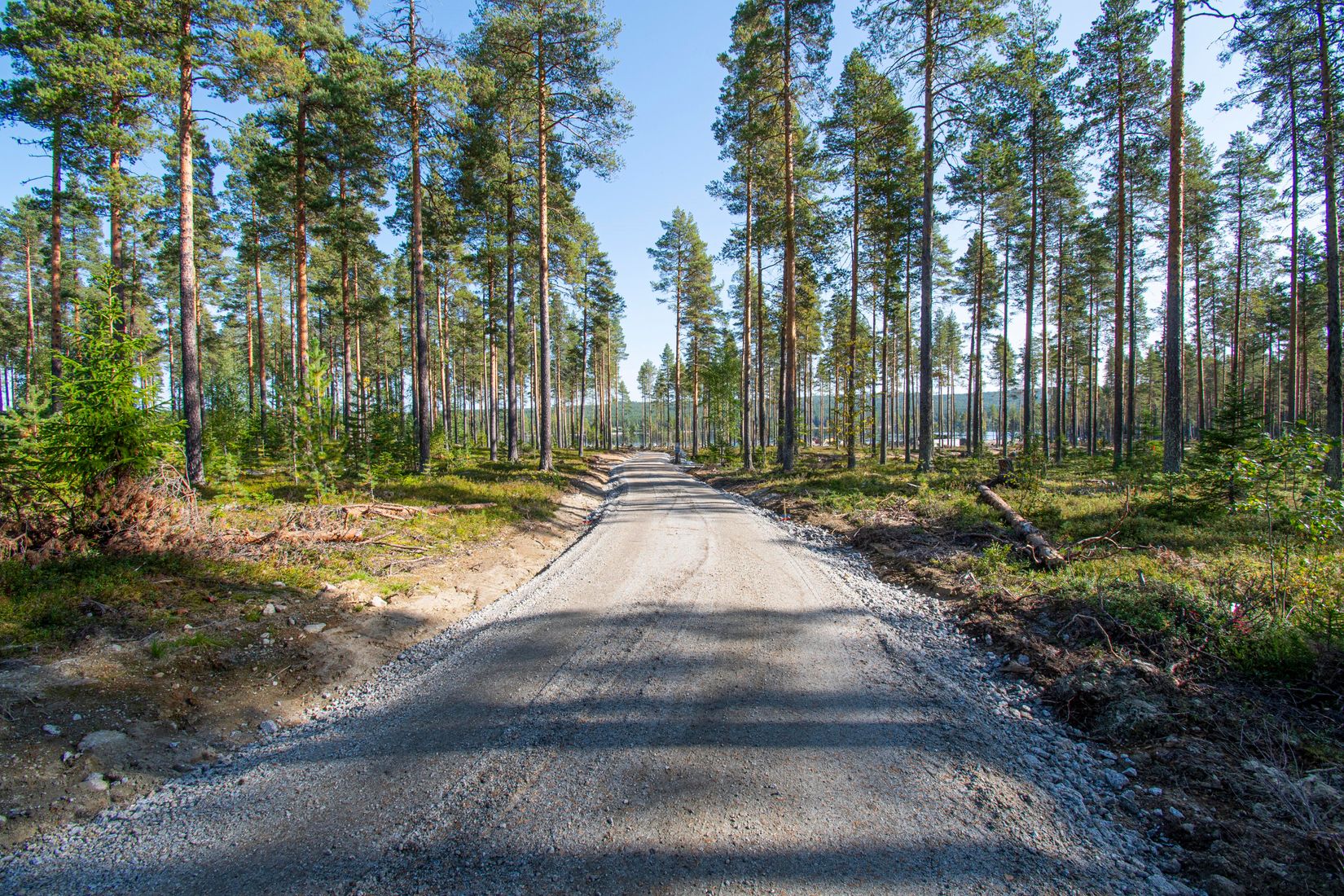 Tomt, Nydalastrand, Nydala, Lycksele