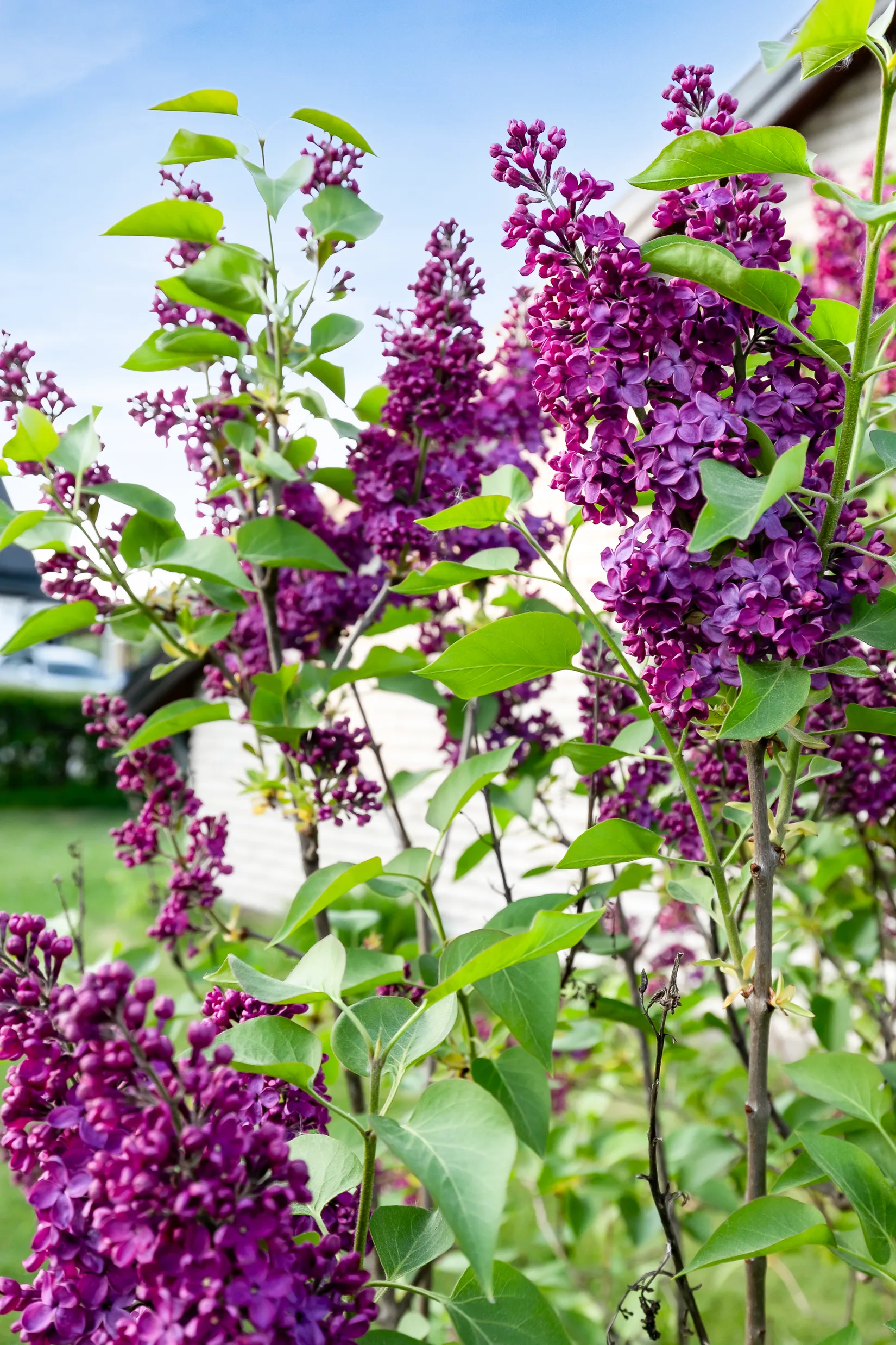 Villa, Björnstigen 9, Nora