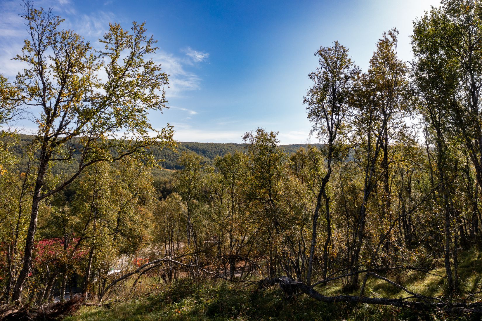 Tomt, Bastukroken 22, Ramundberget, Härjedalen