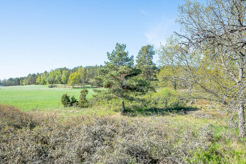 Tomt, Römora 1, Rommarö, Trosa