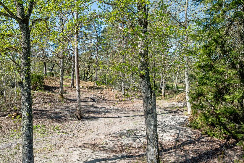 Tomt, Römora 1, Rommarö, Trosa