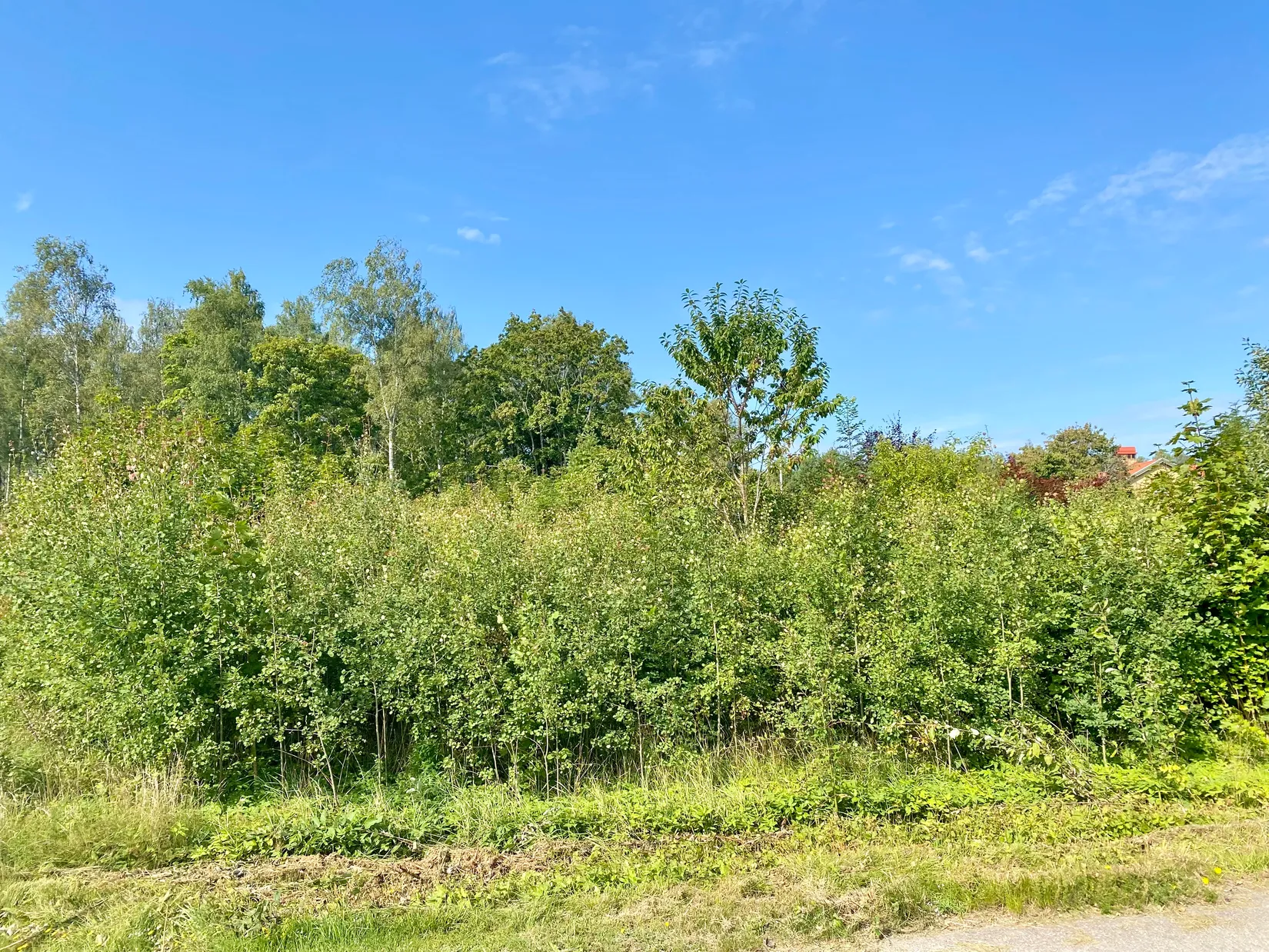 Tomt, Gamla vägen, Tingsryd