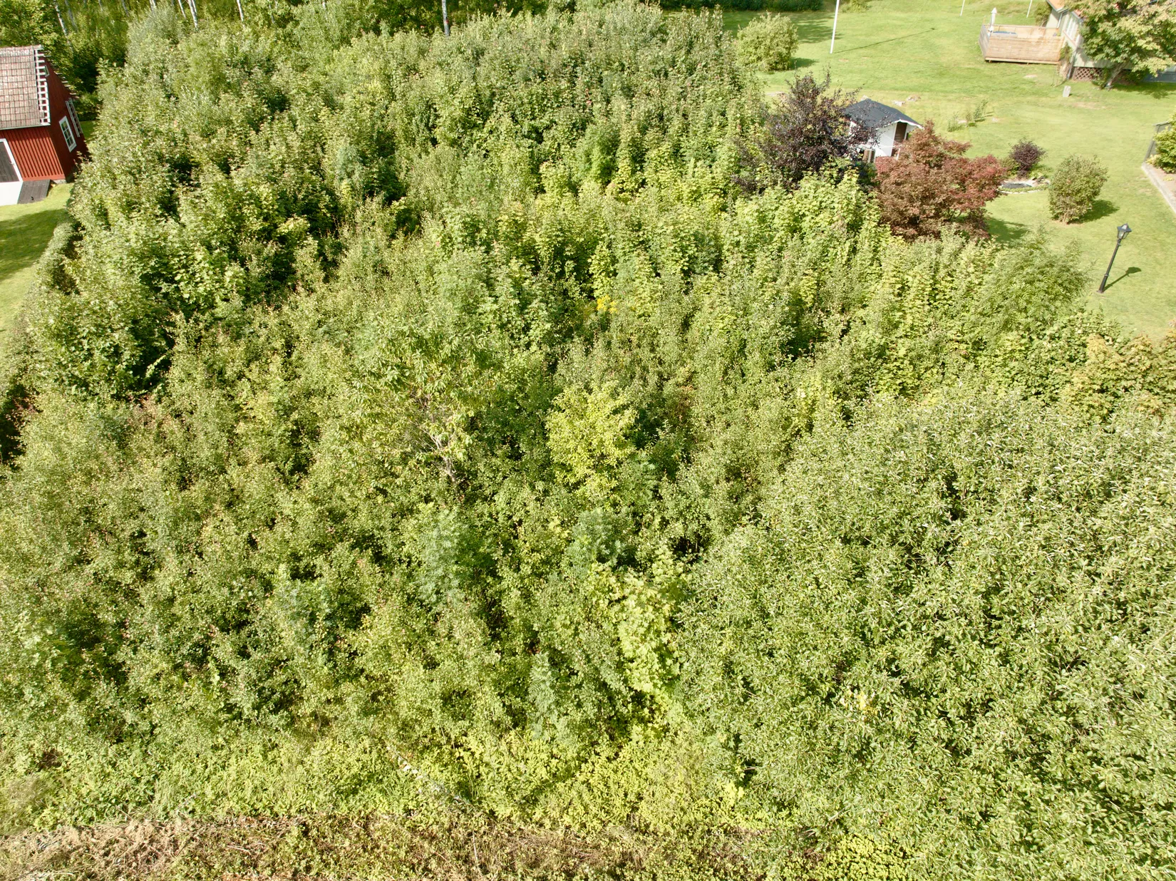 Tomt, Gamla vägen, Tingsryd