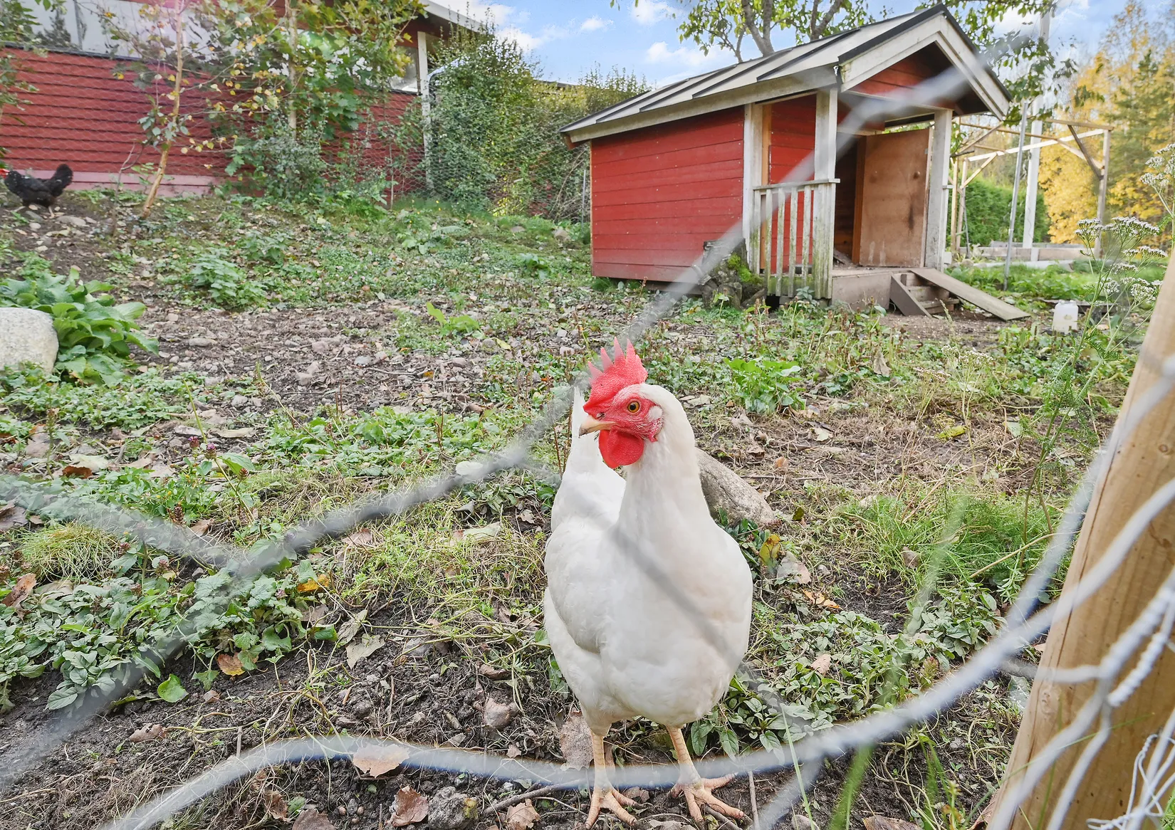 Villa, Skattkärrsvägen 10, Ljusterö, Österåker