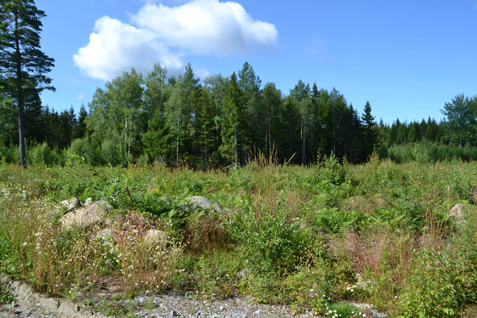 Tomt, Väddö kustväg 256, Väddö Edeby, Norrtälje