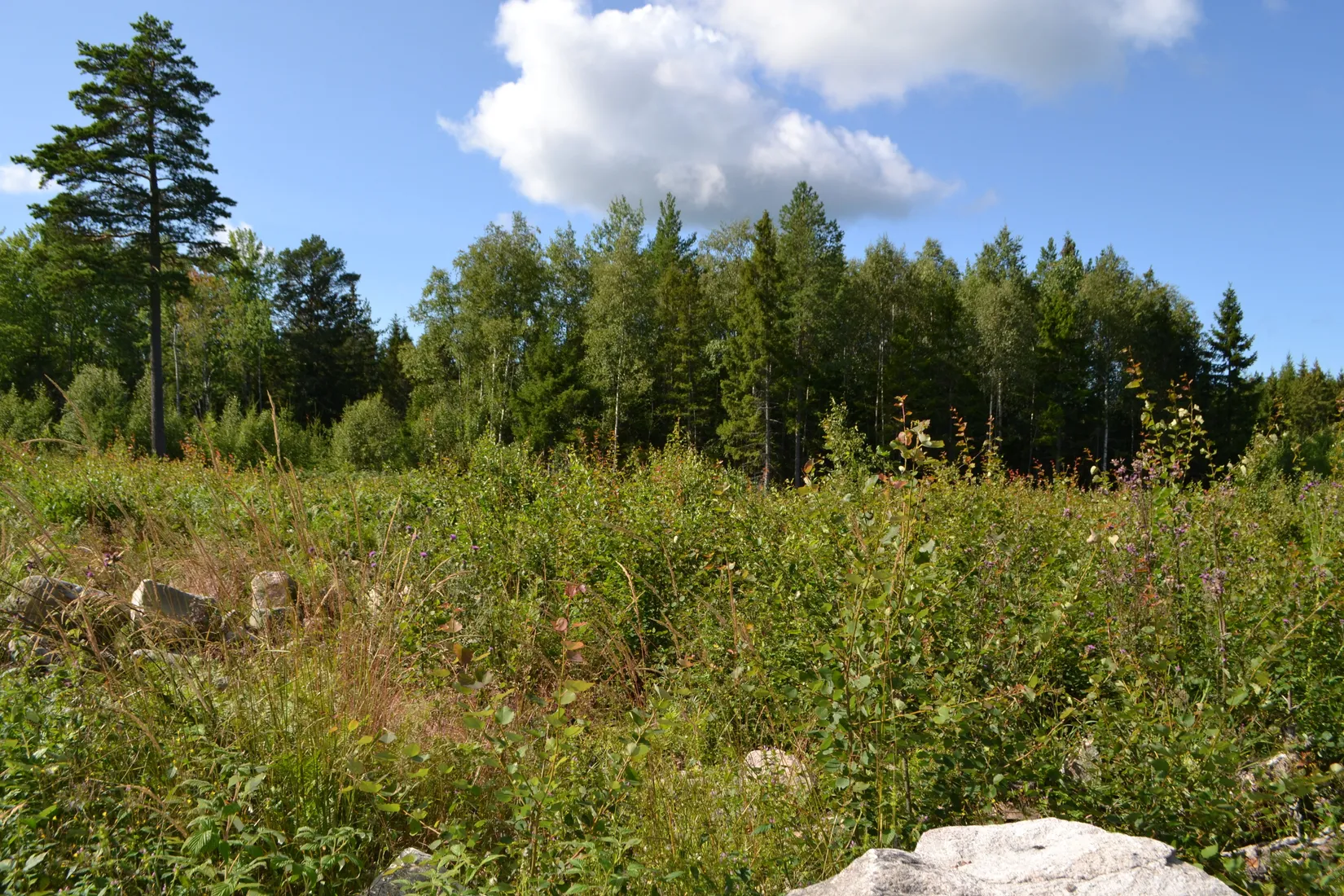 Tomt, Väddö kustväg 256, Väddö Edeby, Norrtälje