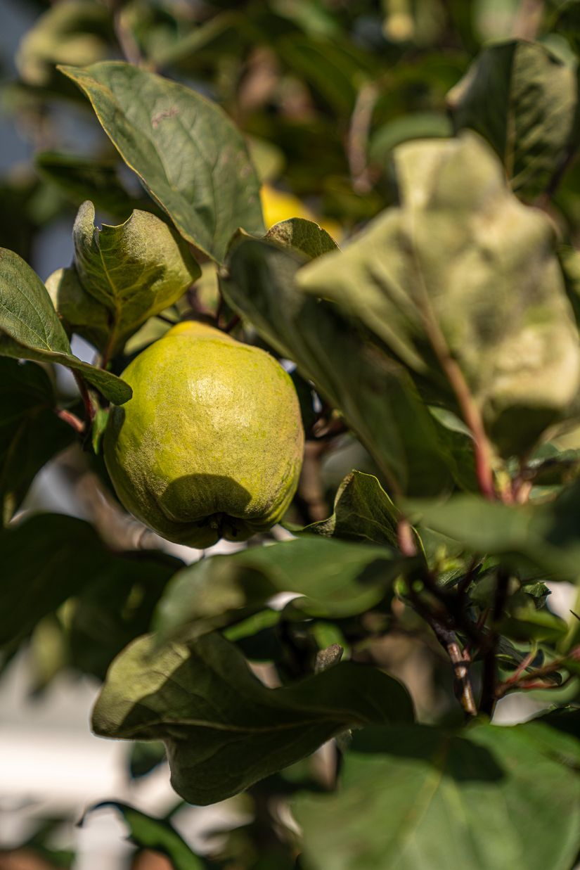 Villa, Diskusvägen 6, Vankiva, Hässleholm
