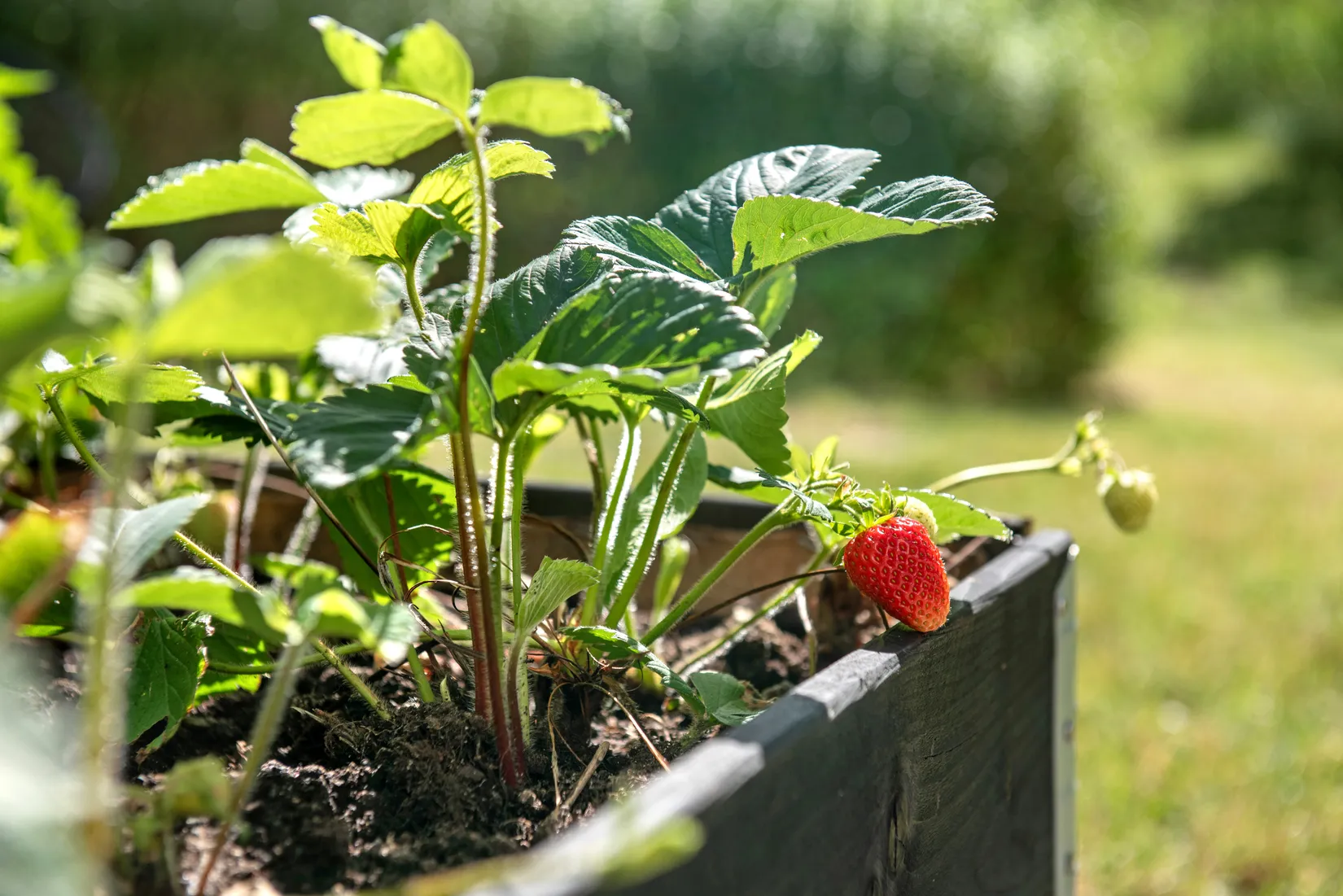 Bostadsrätt, Rekordvägen 7, Gustavsberg Farstadal, Värmdö