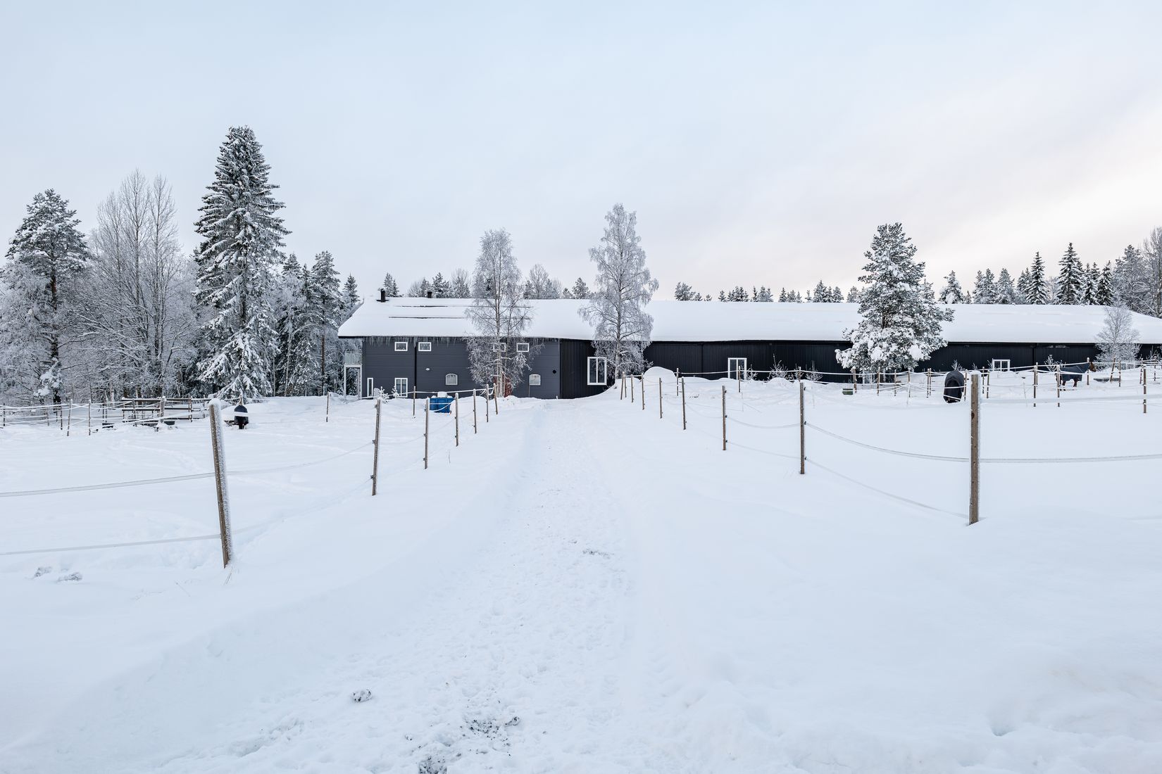 Gård/Skog, Hägra 219, Krokom