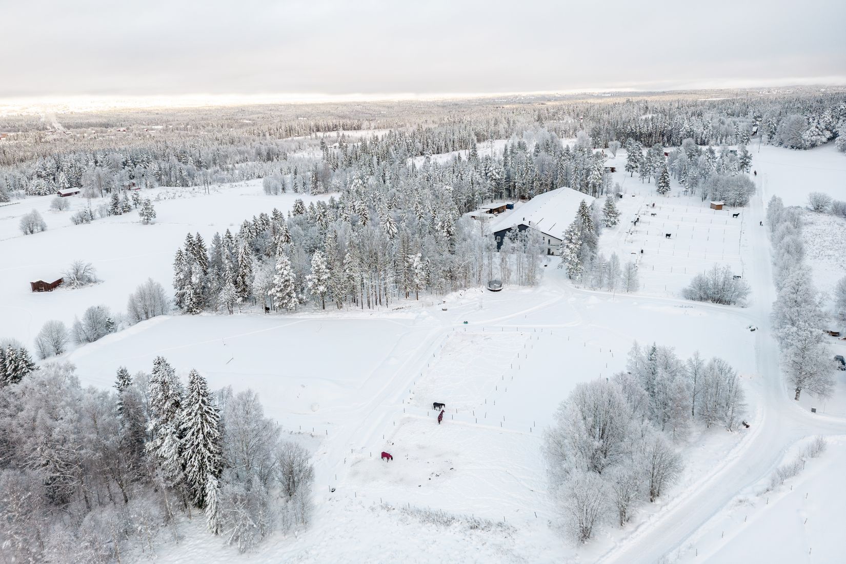 Gård/Skog, Hägra 219, Krokom