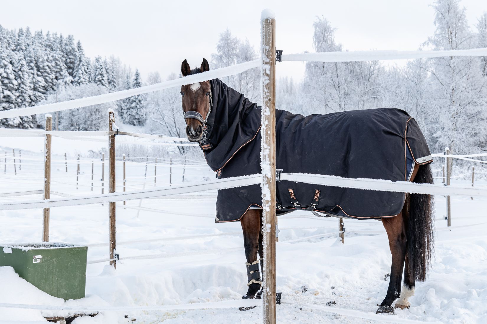 Gård/Skog, Hägra 219, Krokom