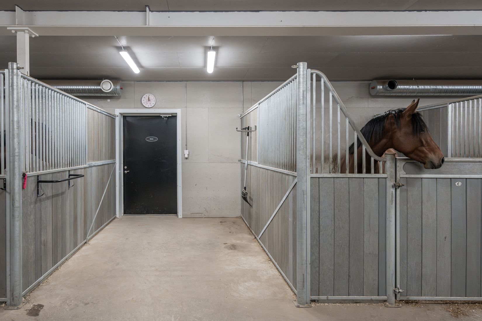 Gård/Skog, Hägra 219, Krokom