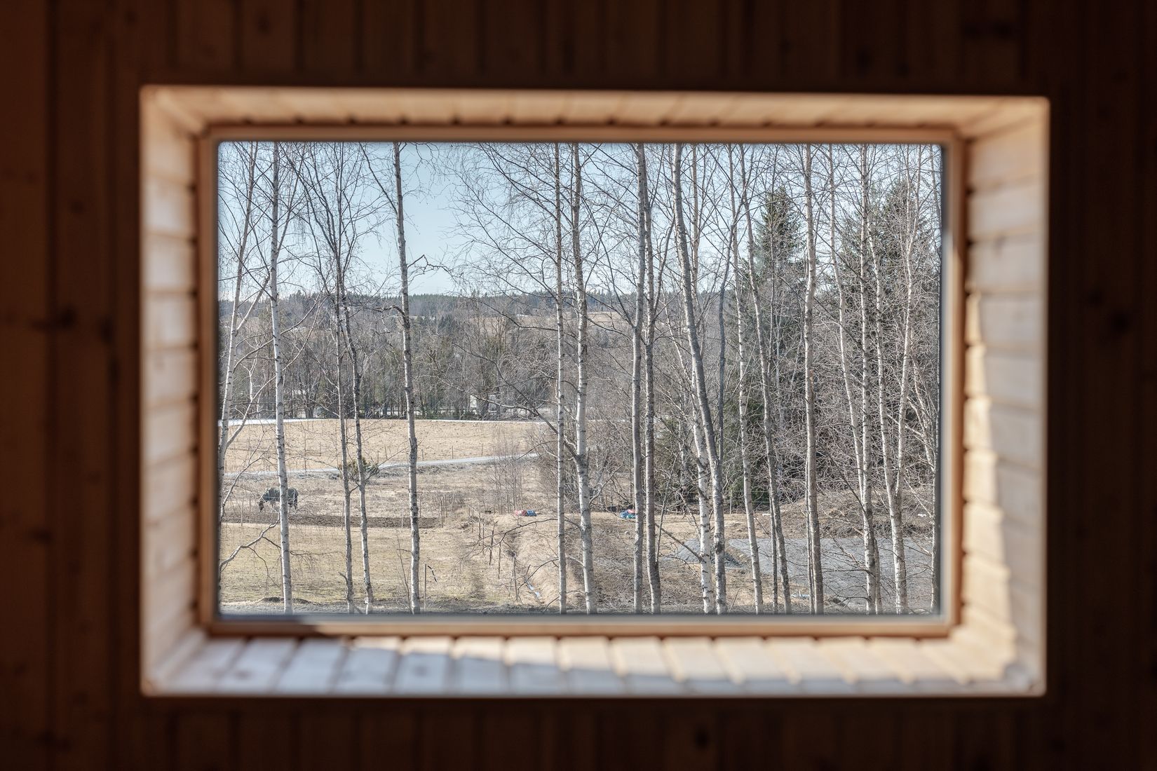 Gård/Skog, Hägra 219, Krokom