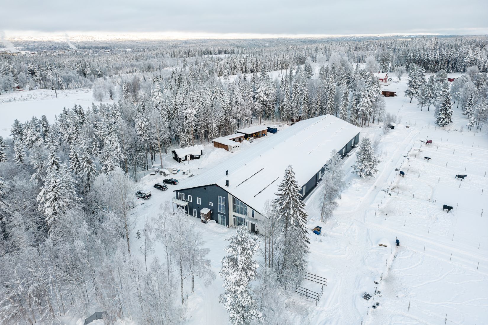 Gård/Skog, Hägra 219, Krokom