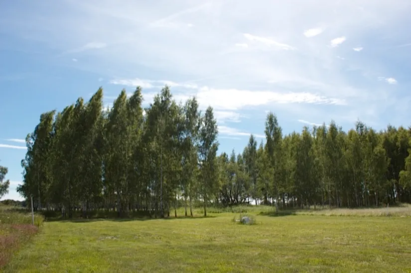 Tomt, Aspö Skarpan 6, Aspö, Strängnäs