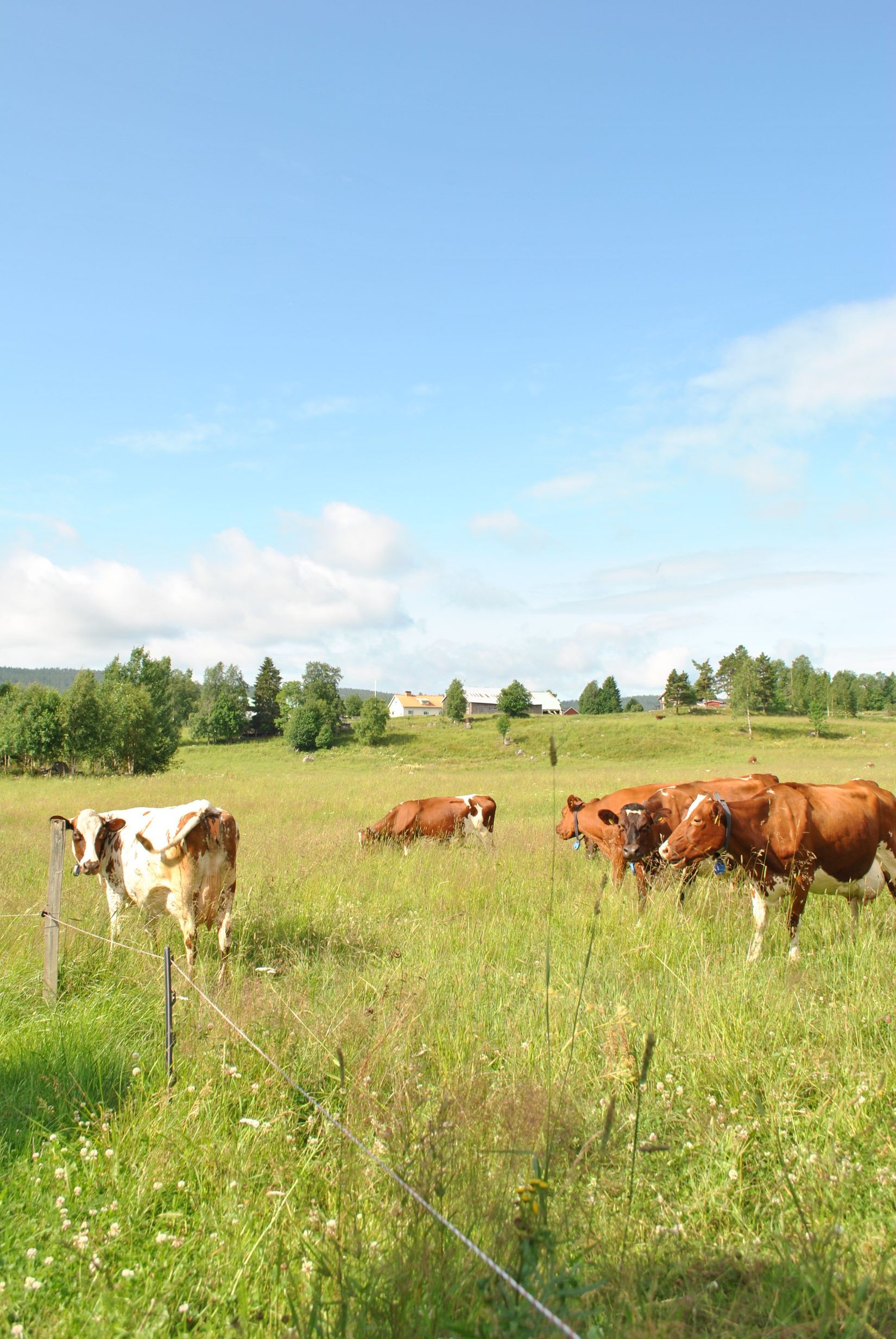 Villa, Bäckland 123, Ramvik, Härnösand