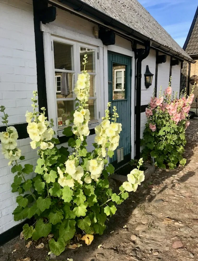 Gård/Skog, Mjöhultsvägen 654-4, Mjöhult, Höganäs