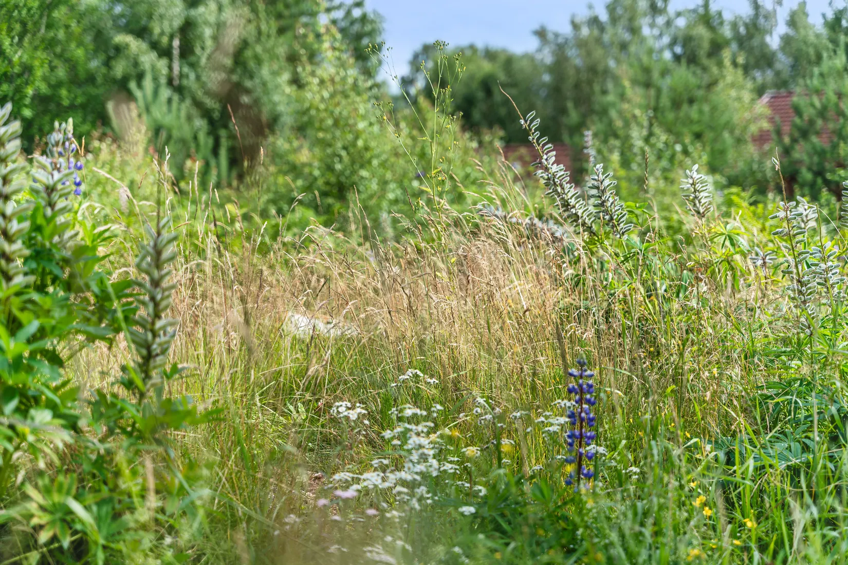 Tomt, Tottgärdsgattu, Björken Siljansnäs, Leksand