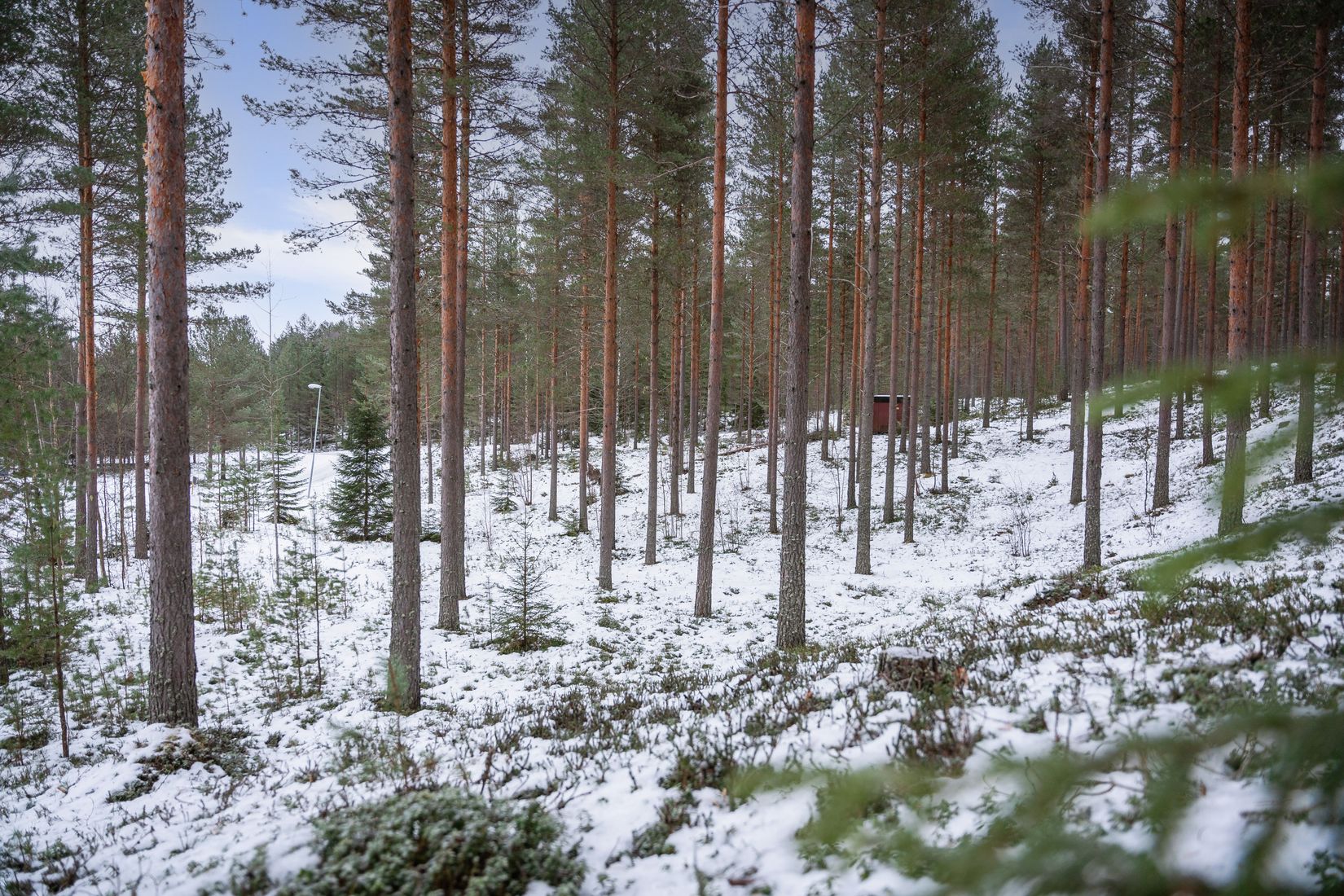 Tomt, Smedby Vitmossevägen och Klåvesväg, Häradsbygden, Gärde, Västannor och Smedby, Leksand