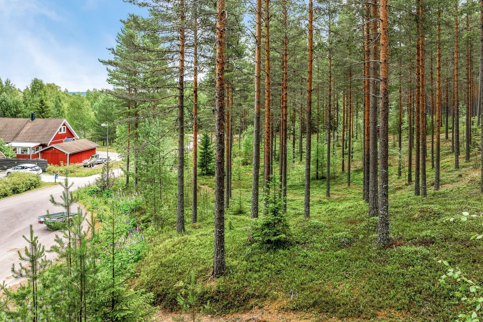 Tomt, Smedby Vitmossevägen och Klåvesväg, Gärde, Västannor och Smedby, Leksand