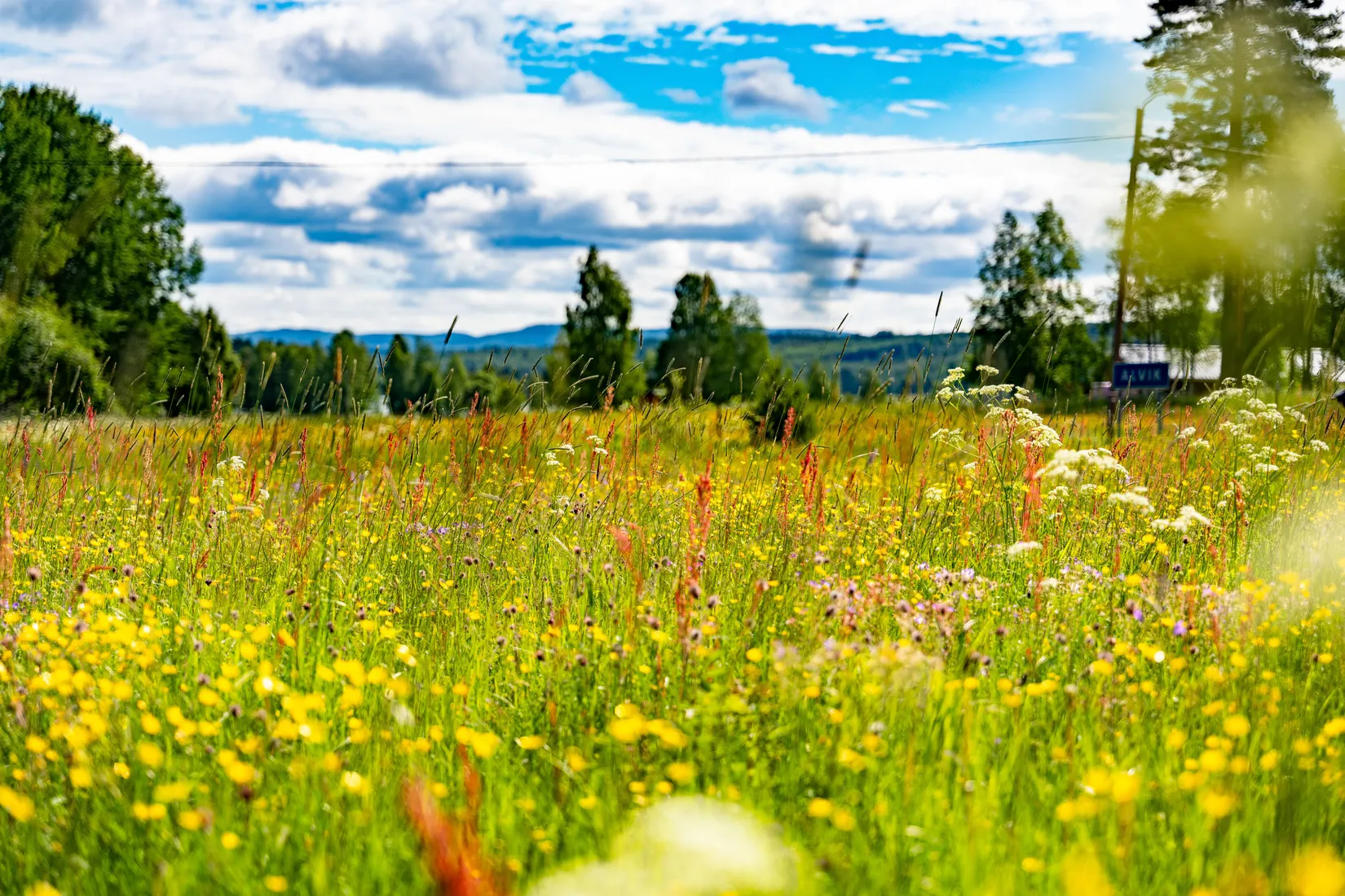 Tomt, Almo Alviksvägen, Alvik, Leksand