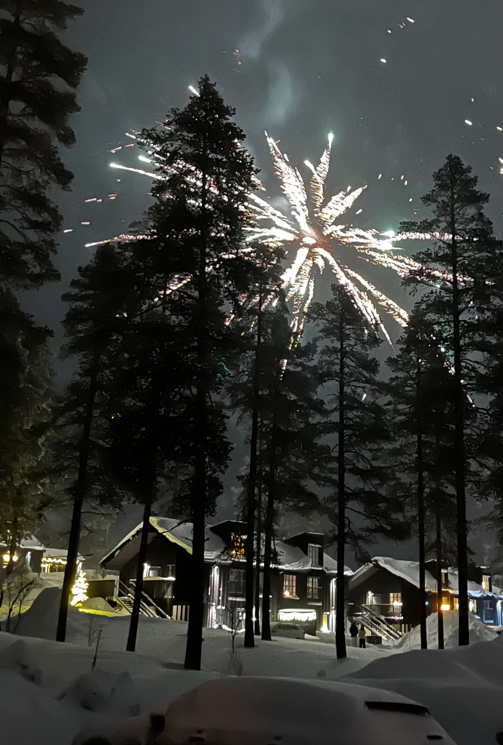 Bostadsrätt, Hjortstigen 4B, Tandådalen/Hundfjället, Malung-Sälen