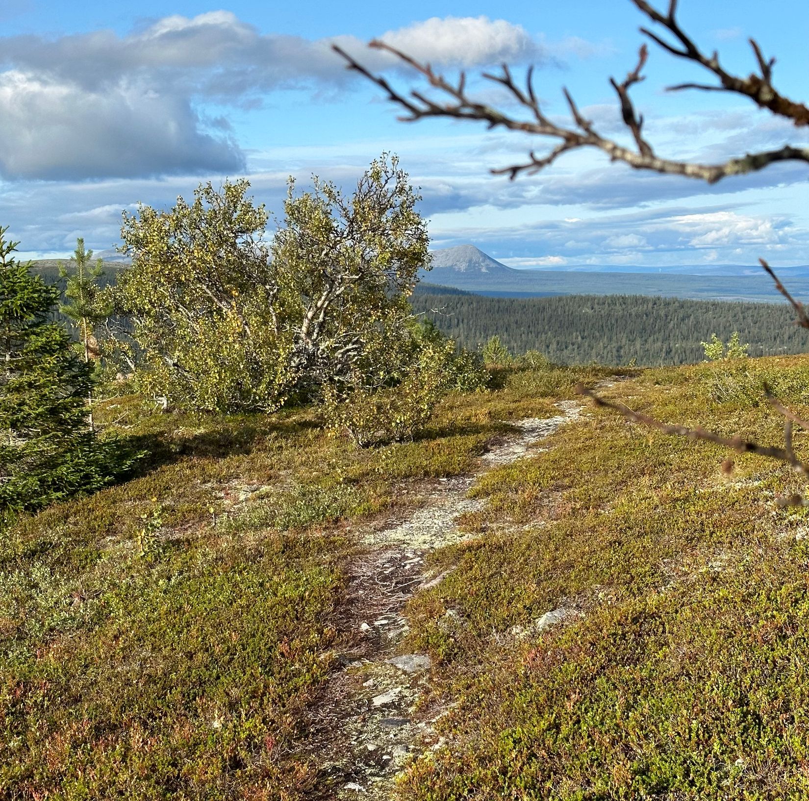 Fritidshus, Lofsens Fjällby hus L17 andel nr 4 (1/8 del), Härjedalen
