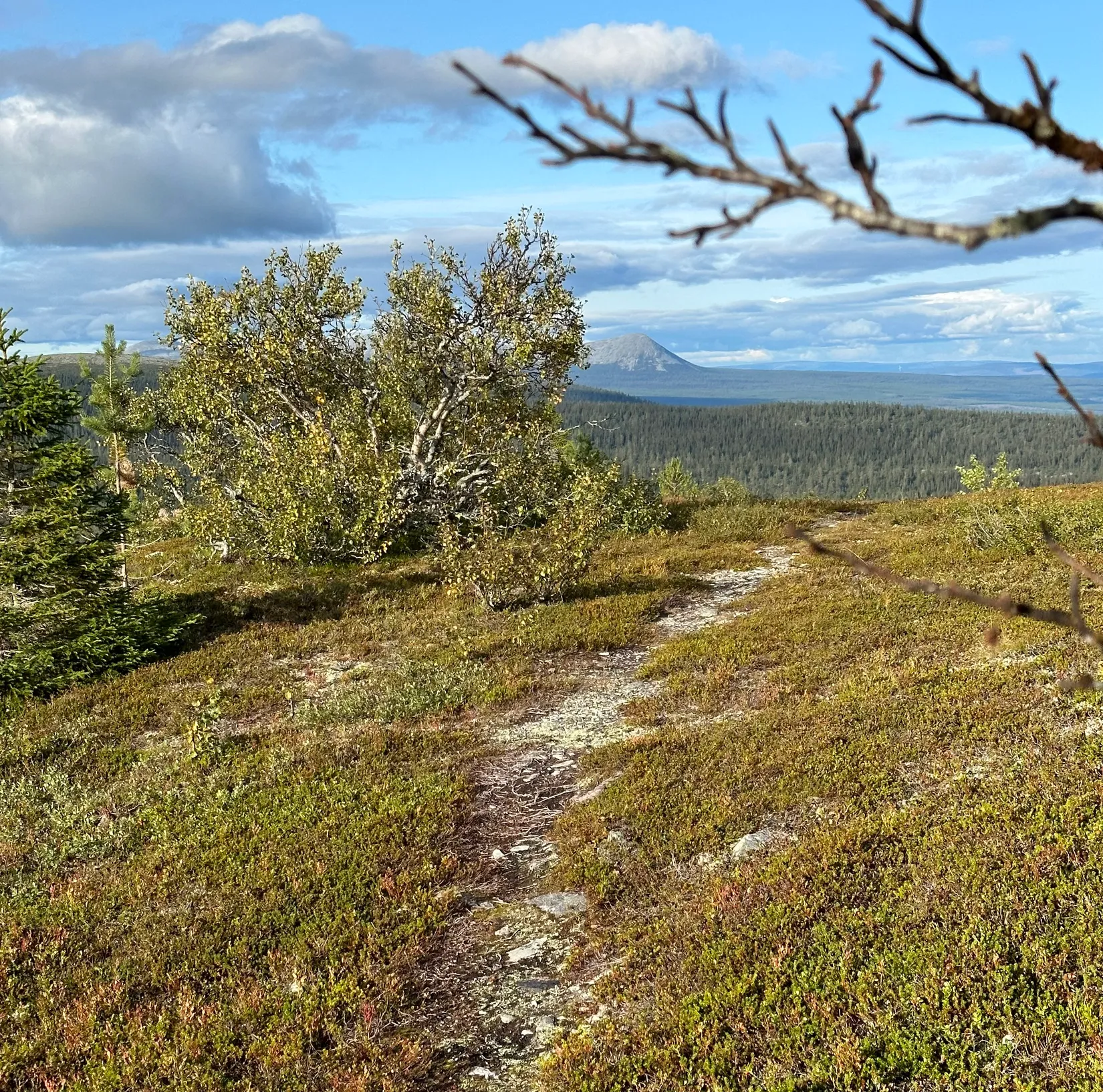 Fritidshus, Lofsens Fjällby hus L17 andel nr 4 (1/8 del), Härjedalen