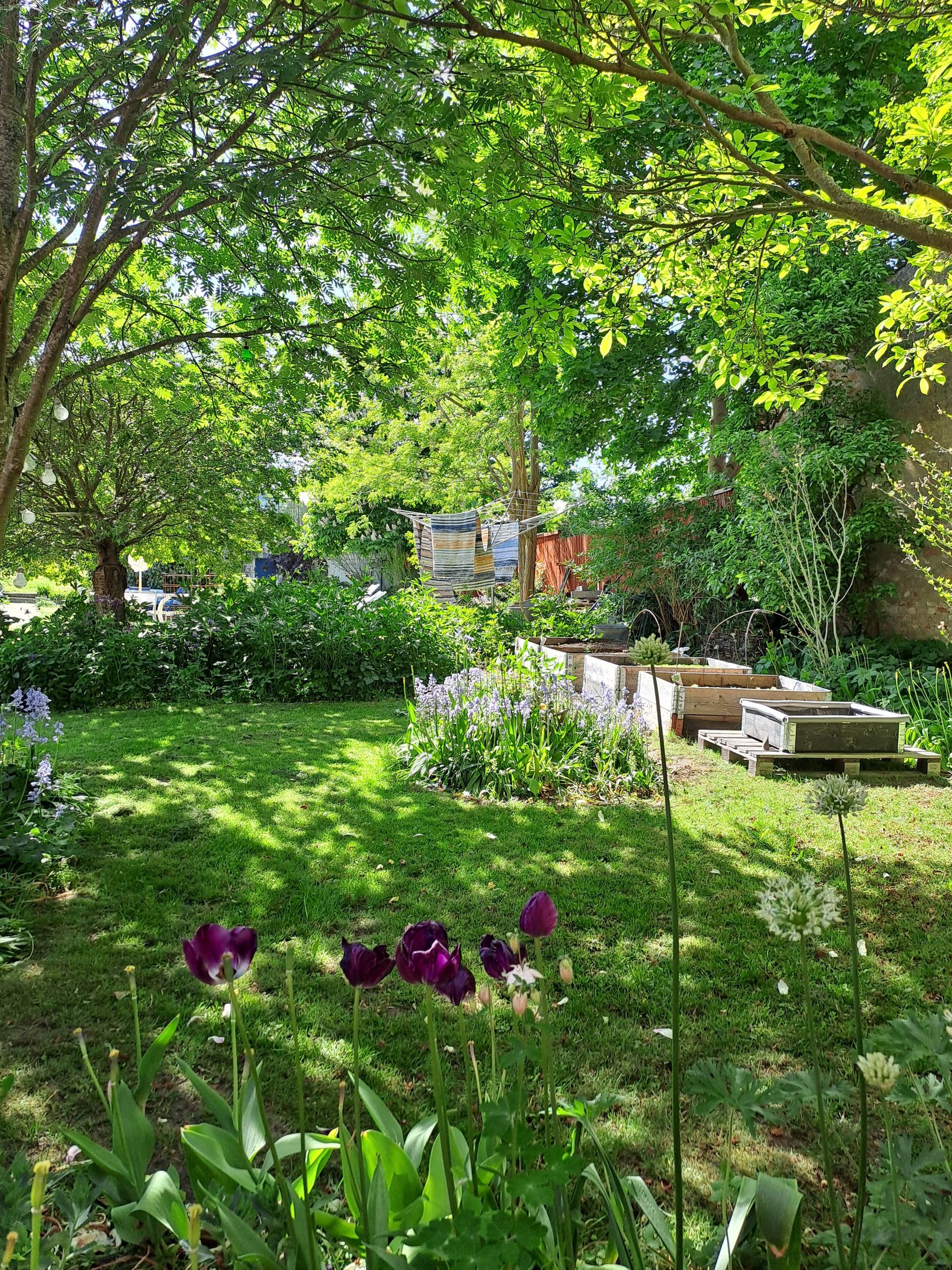 Villa, Regeringsgatan 111, Centrum, Karlshamn