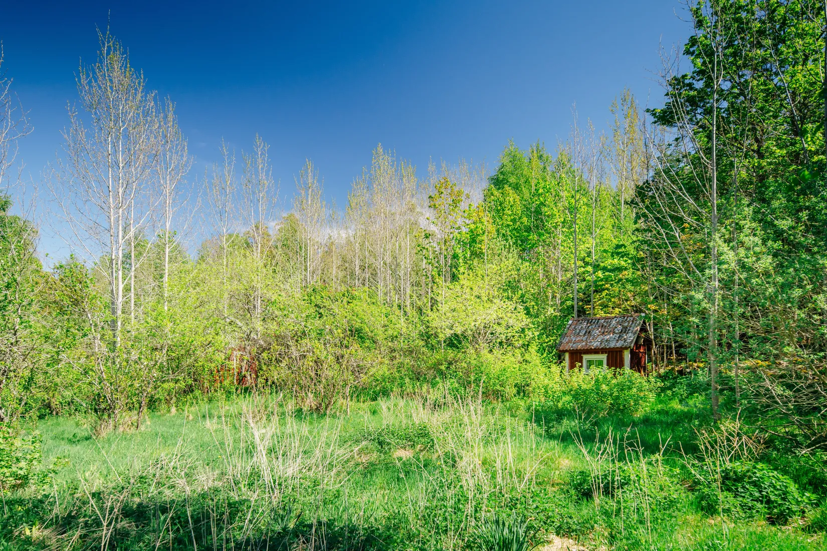 Villa, Bronserud 7, Gullspång