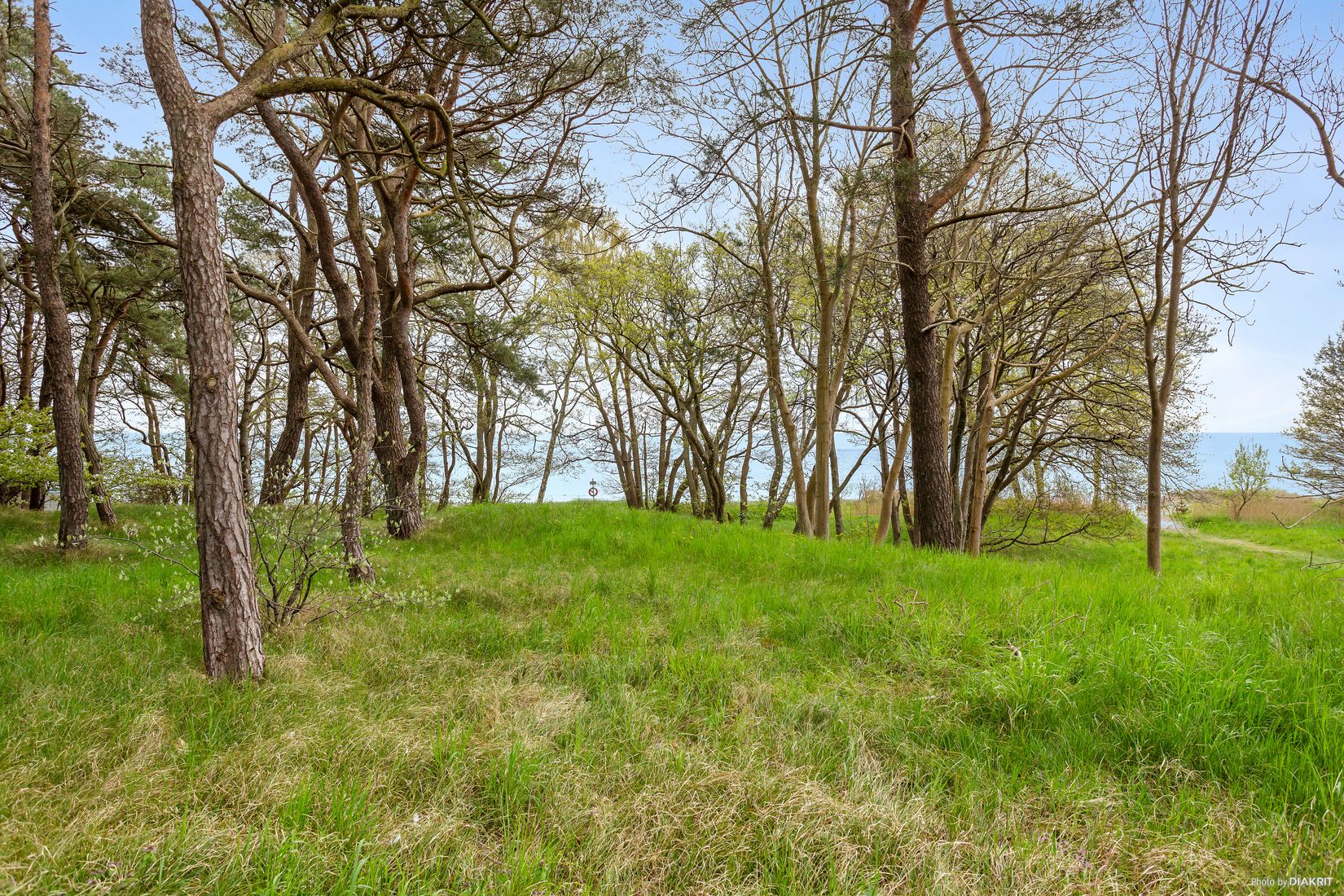 Tomt, Kyhls strandväg 9, Kyhls strand, Simrishamn